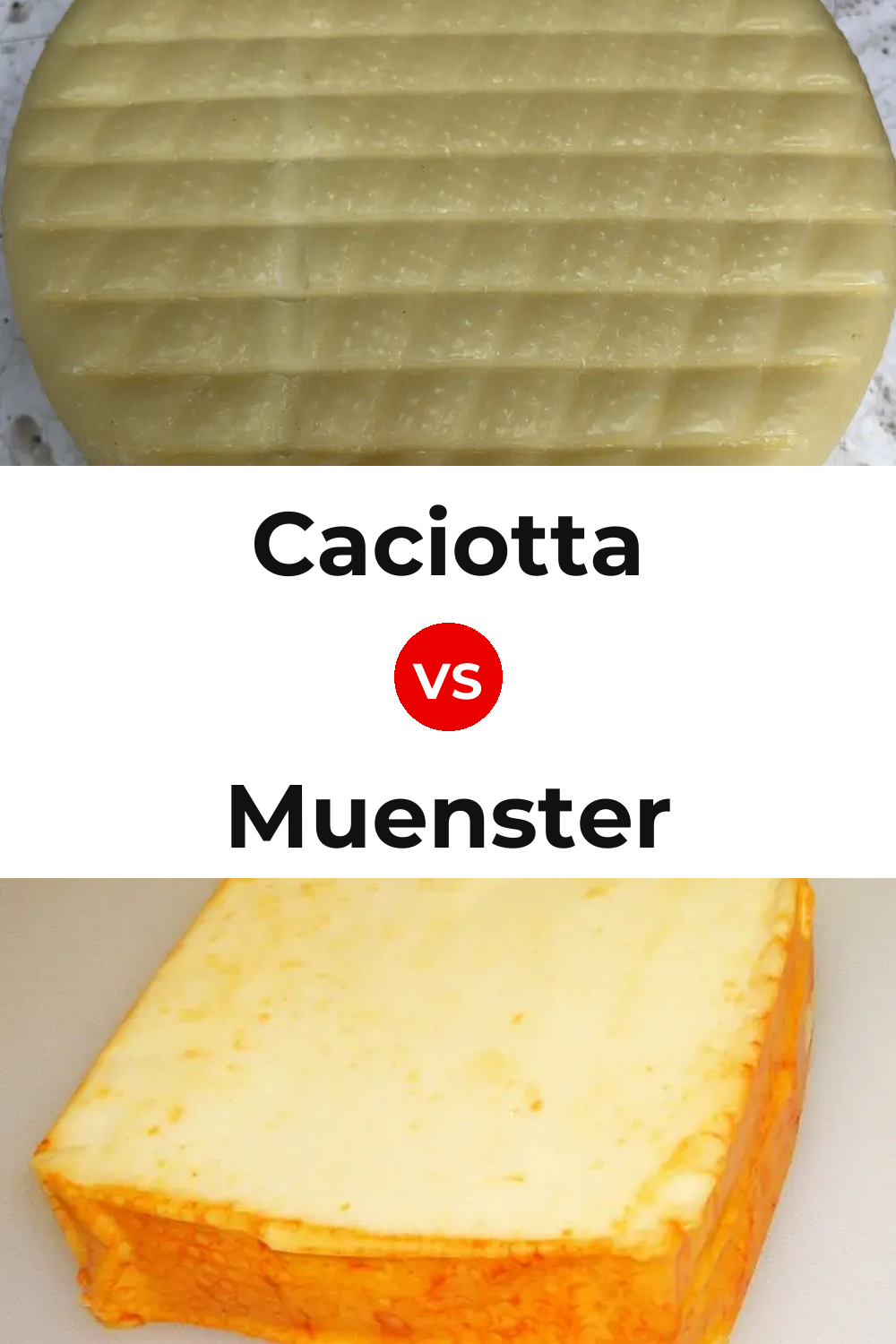 Caciotta Cheese vs Muenster Cheese Pinterest comparison