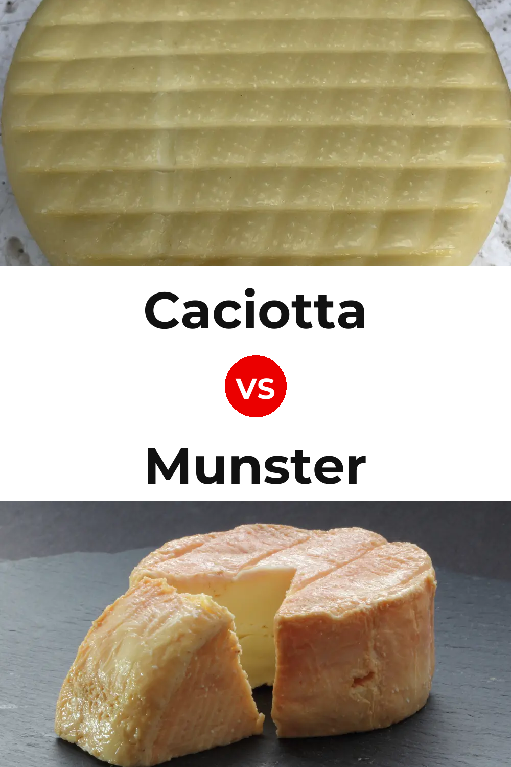 Caciotta Cheese vs Munster Cheese Pinterest comparison