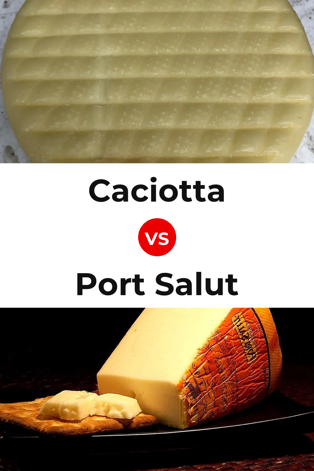 Caciotta Cheese vs Port Salut Cheese Pinterest comparison