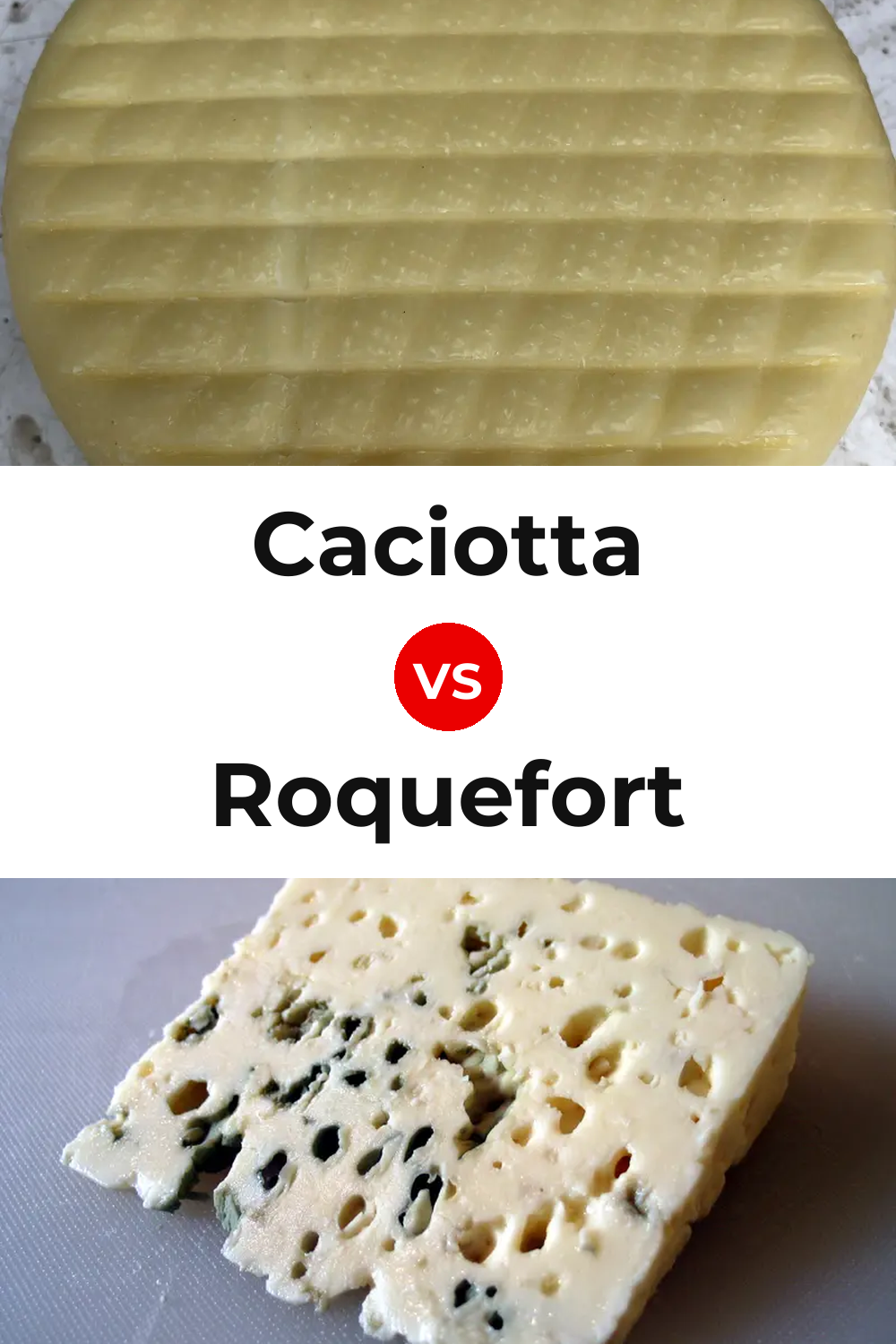 Caciotta Cheese vs Roquefort Cheese Pinterest comparison