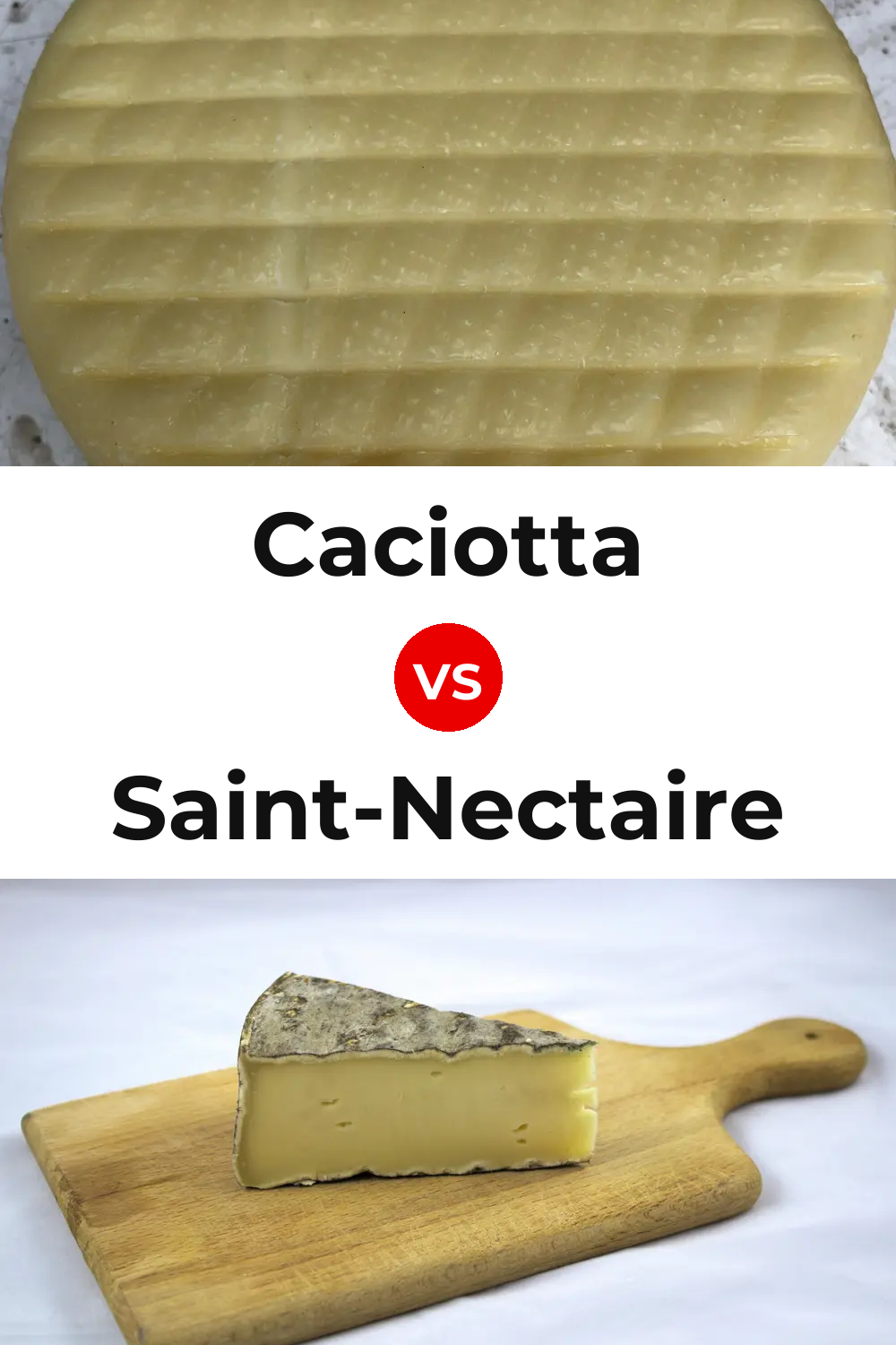 Caciotta Cheese vs Saint-Nectaire Cheese Pinterest comparison
