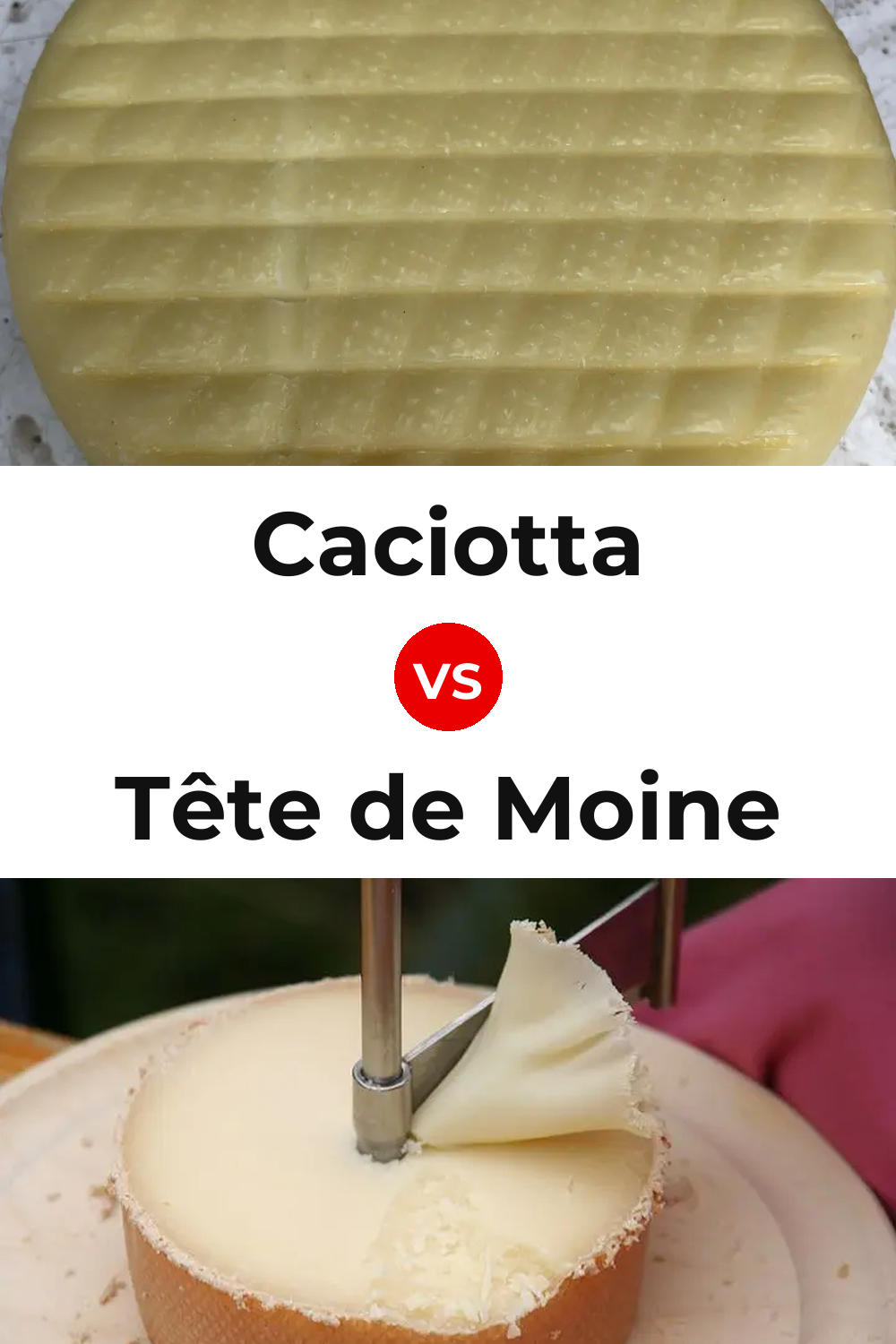 Caciotta Cheese vs Tête de Moine Cheese Pinterest comparison