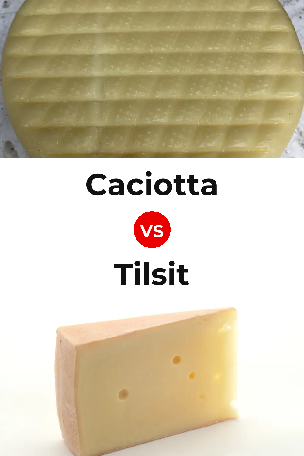 Caciotta Cheese vs Tilsit Cheese Pinterest comparison