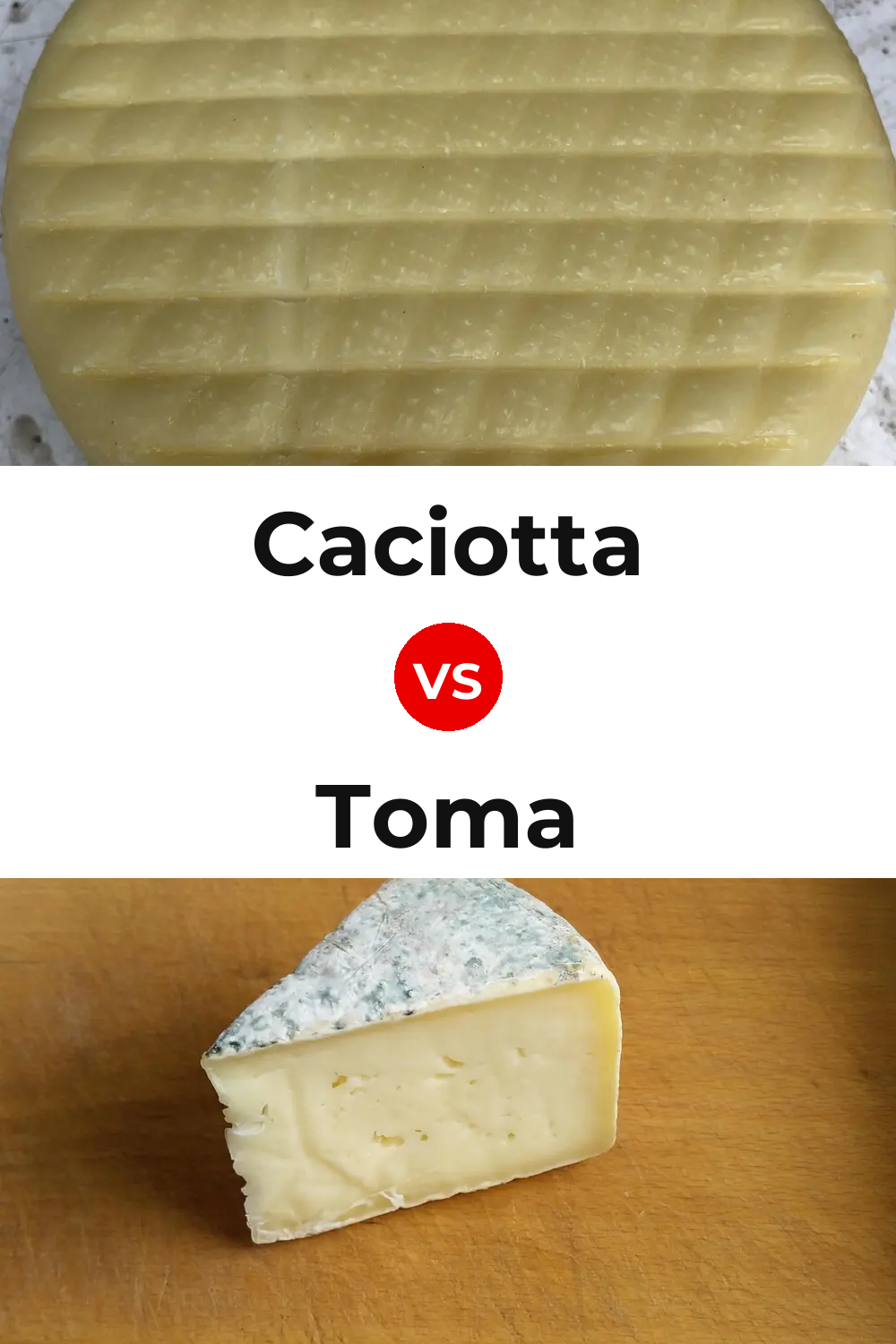 Caciotta Cheese vs Toma Cheese Pinterest comparison