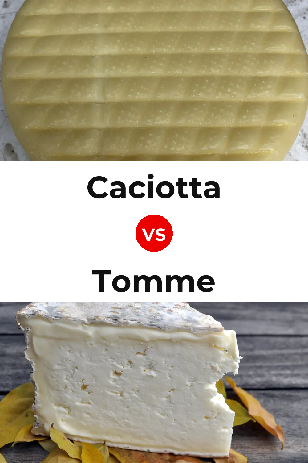 Caciotta Cheese vs Tomme Cheese Pinterest comparison