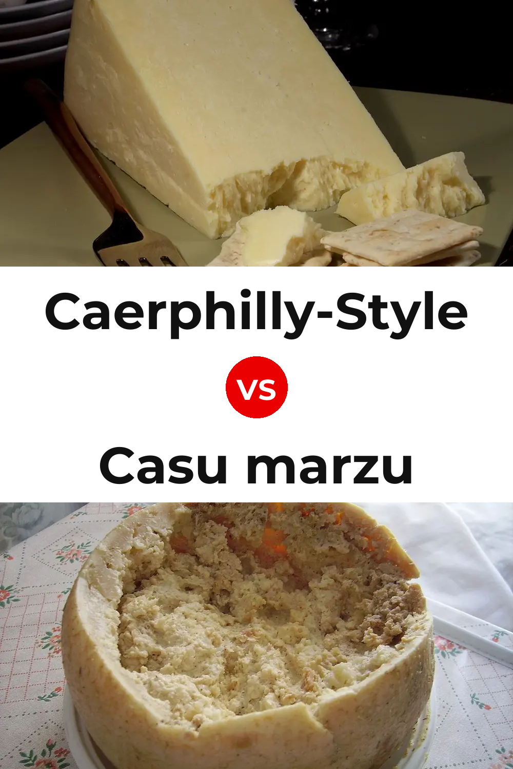 Caerphilly-Style Cheese vs Casu marzu Cheese Pinterest comparison