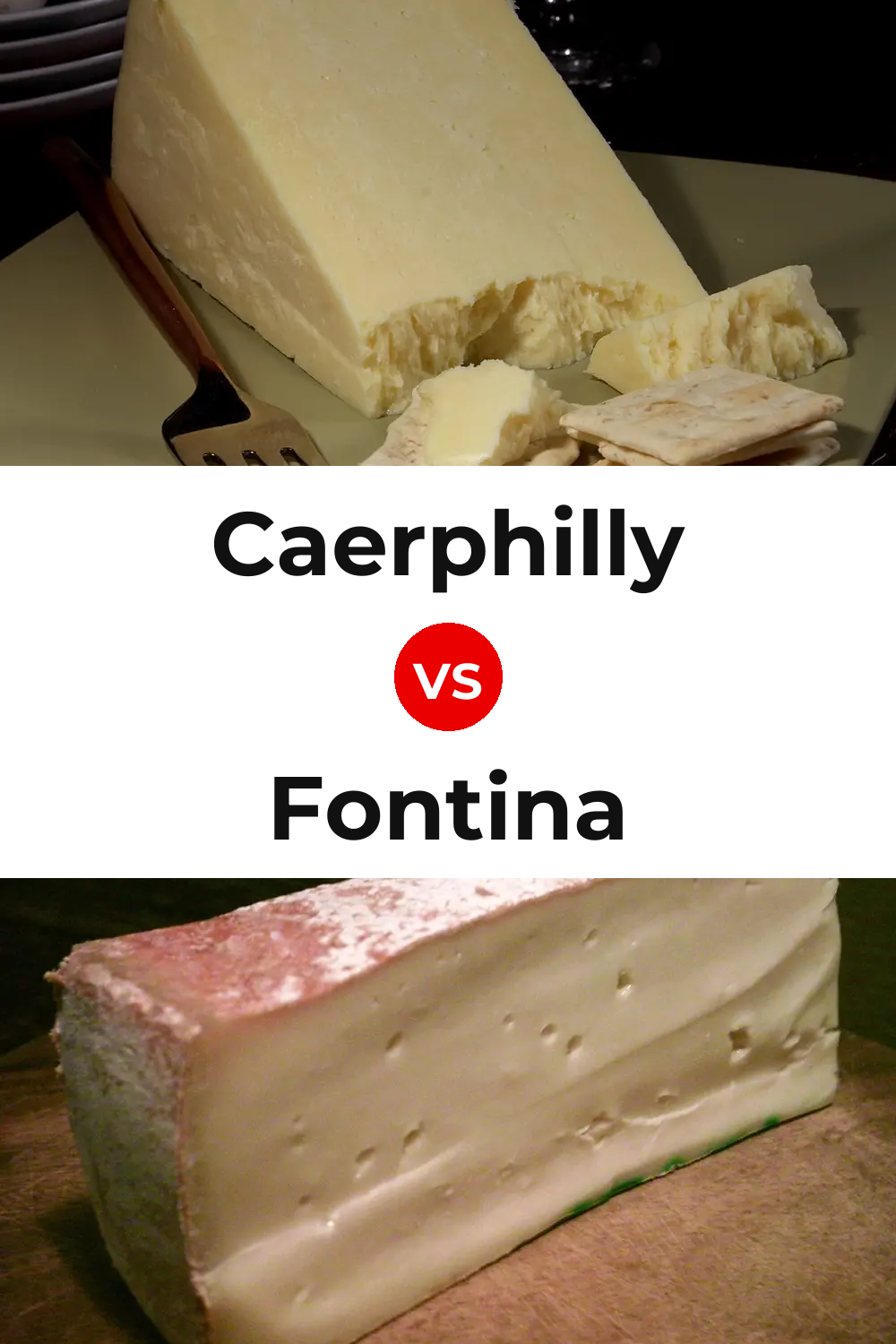 Caerphilly Cheese vs Fontina Cheese Pinterest comparison