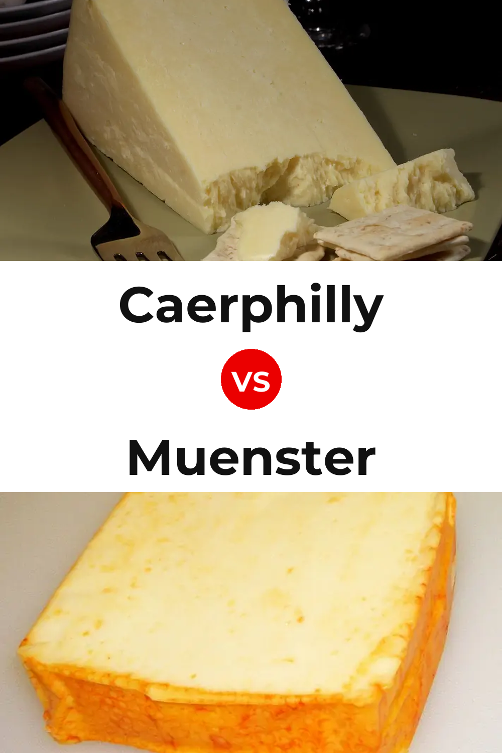 Caerphilly Cheese vs Muenster Cheese Pinterest comparison