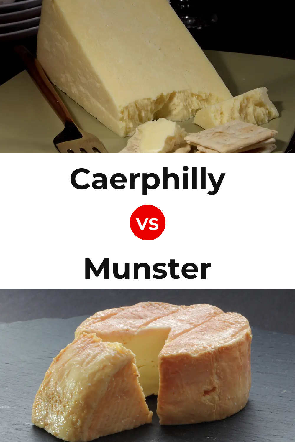 Caerphilly Cheese vs Munster Cheese Pinterest comparison