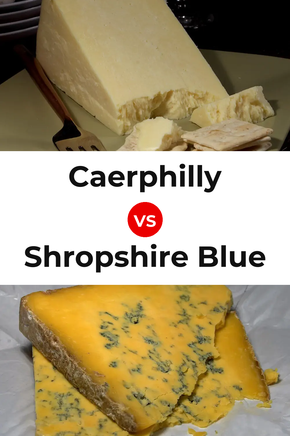 Caerphilly Cheese vs Shropshire Blue Cheese Pinterest comparison