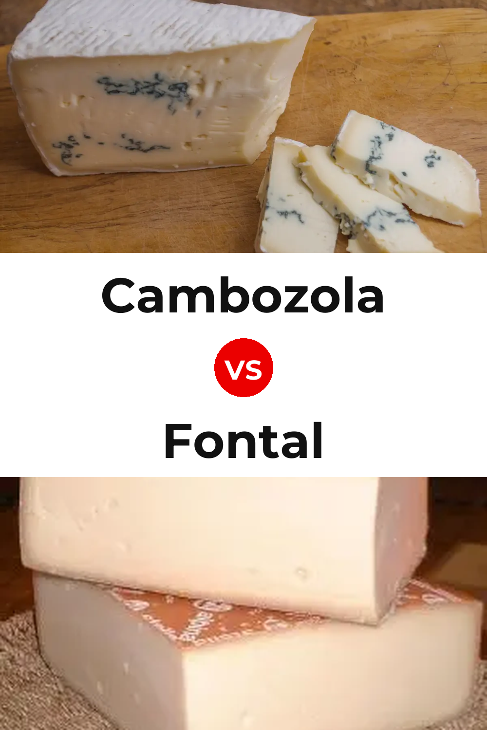 Cambozola Cheese vs Fontal Cheese Pinterest comparison