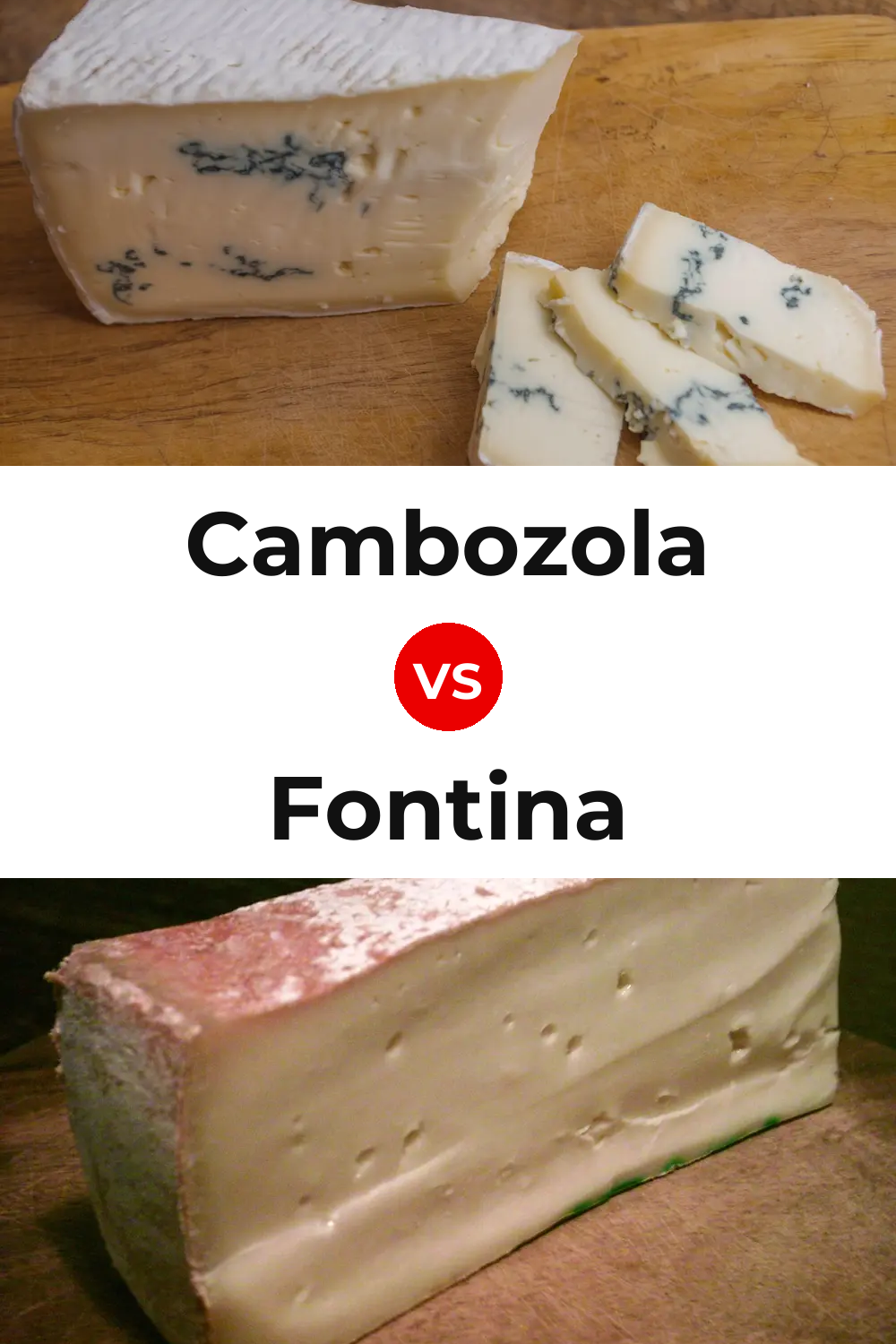 Cambozola Cheese vs Fontina Cheese Pinterest comparison