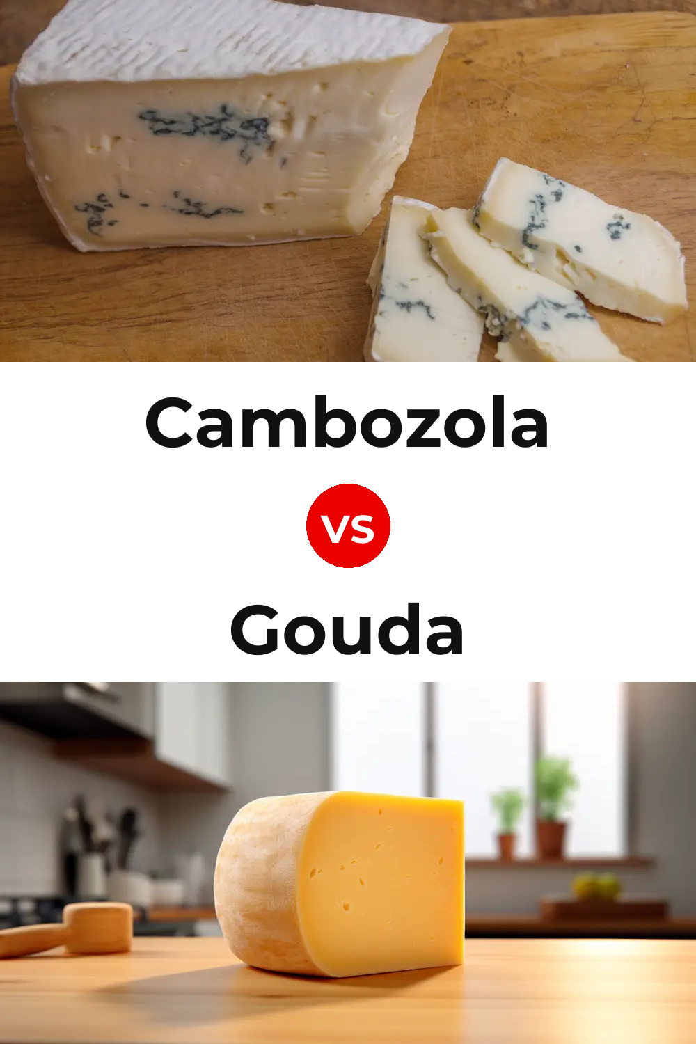 Cambozola Cheese vs Gouda Cheese Pinterest comparison