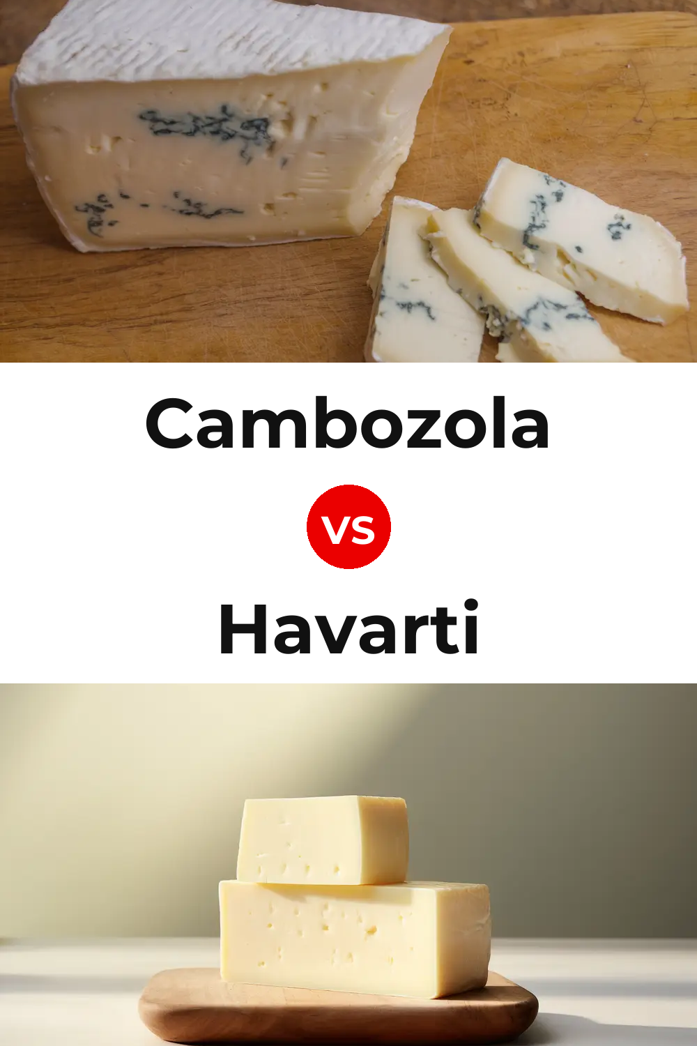 Cambozola Cheese vs Havarti Cheese Pinterest comparison