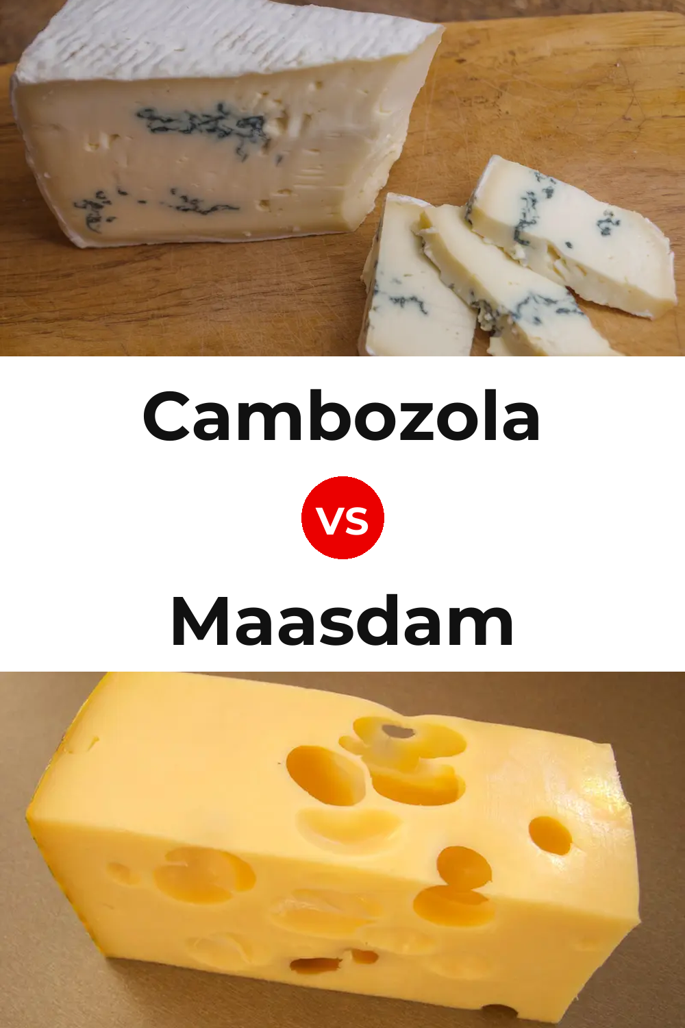 Cambozola Cheese vs Maasdam Cheese Pinterest comparison