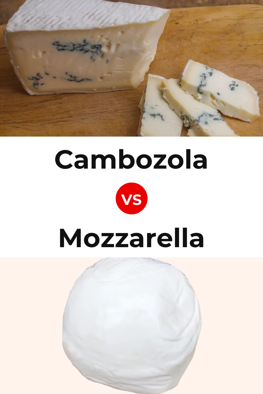 Cambozola Cheese vs Mozzarella Cheese Pinterest comparison