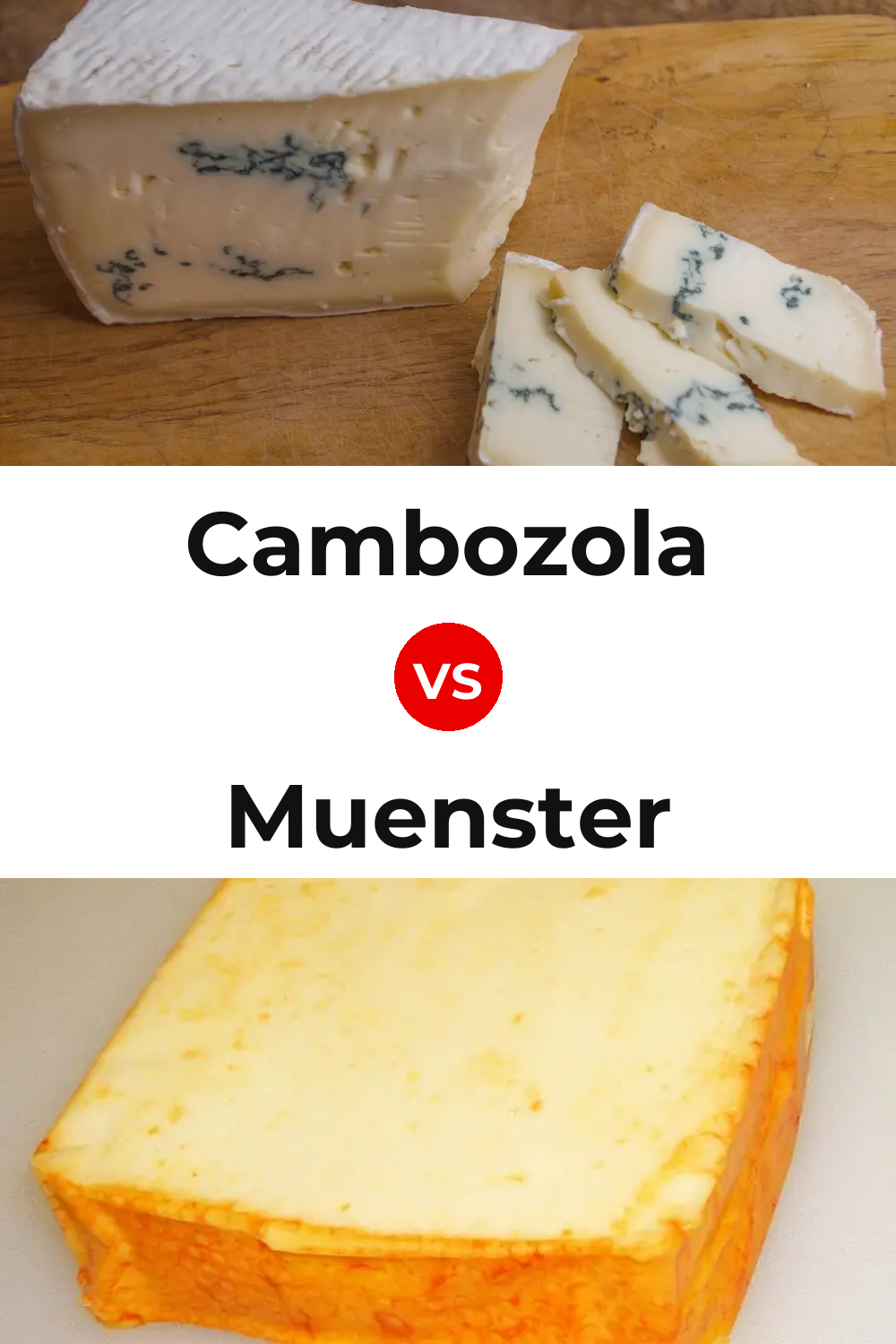 Cambozola Cheese vs Muenster Cheese Pinterest comparison