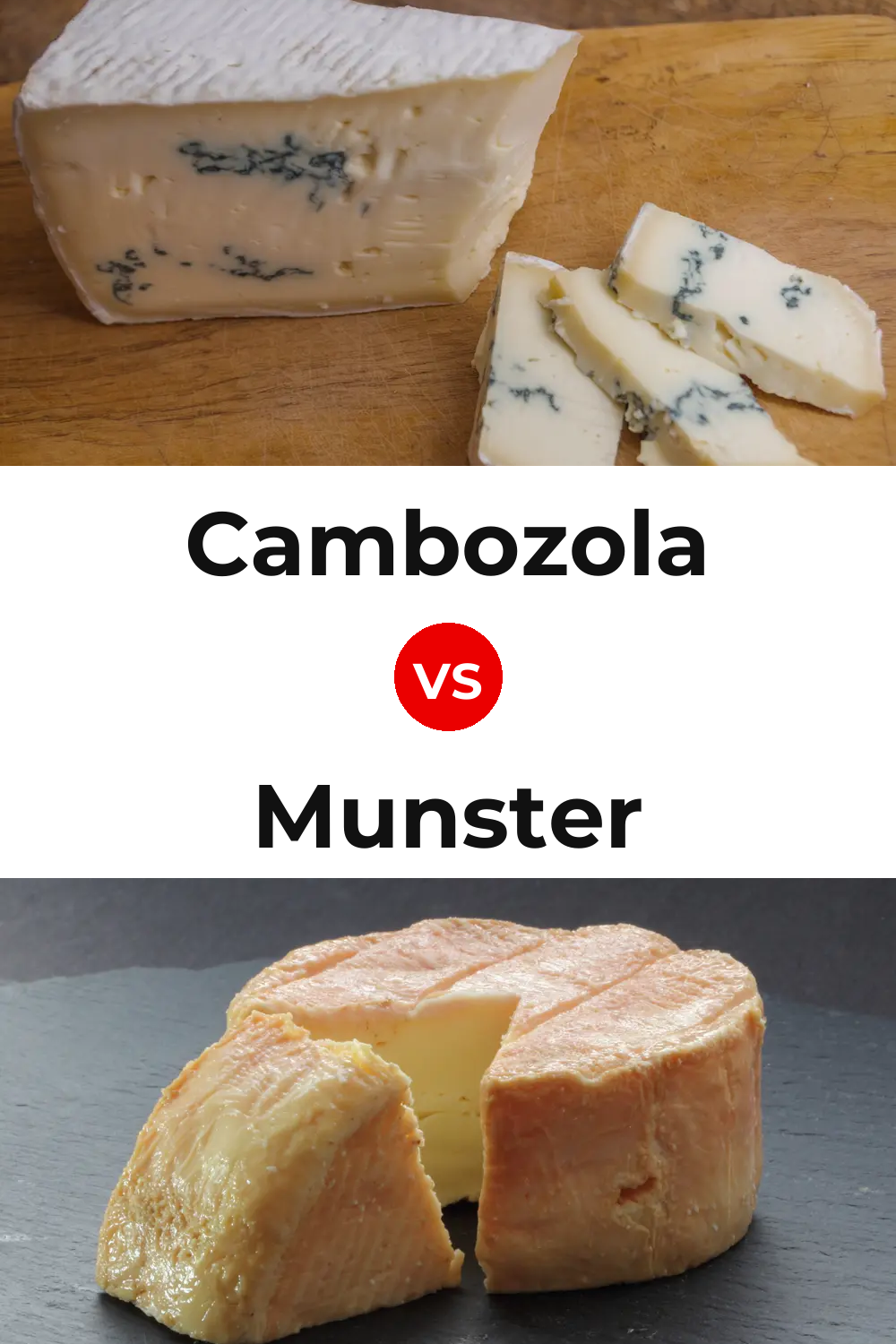 Cambozola Cheese vs Munster Cheese Pinterest comparison