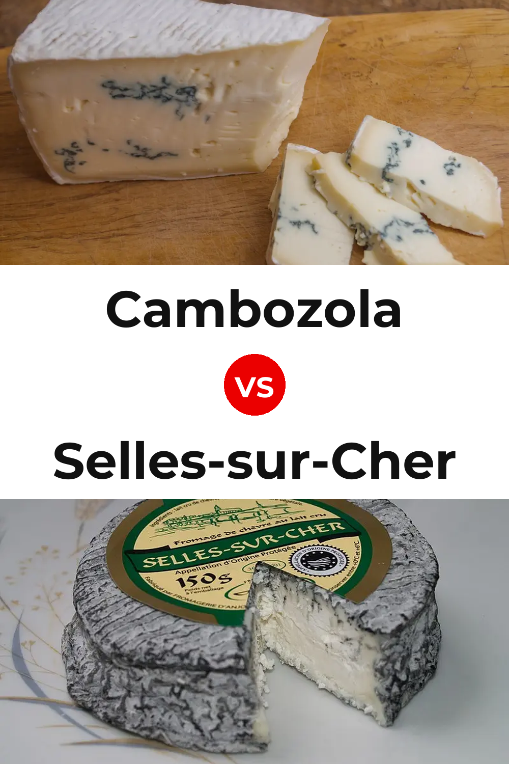 Cambozola Cheese vs Selles-sur-Cher Cheese Pinterest comparison