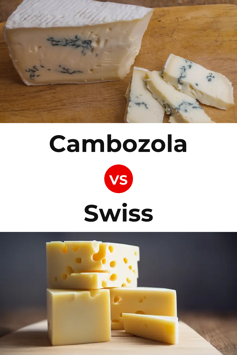 Cambozola Cheese vs Swiss Cheese Pinterest comparison