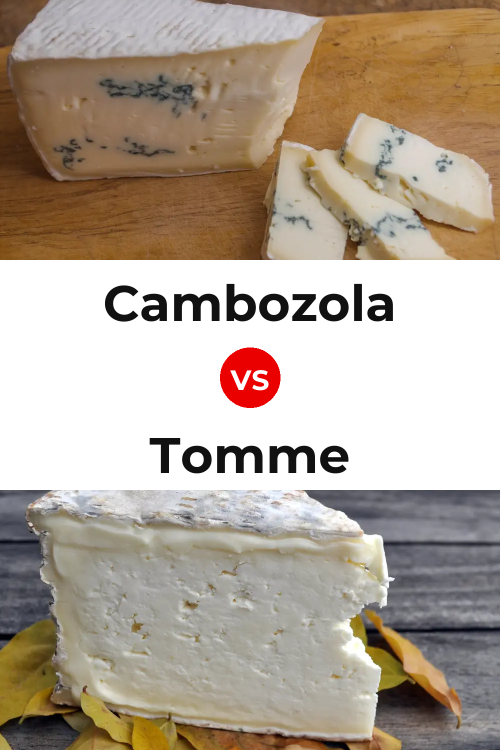 Cambozola Cheese vs Tomme Cheese Pinterest comparison