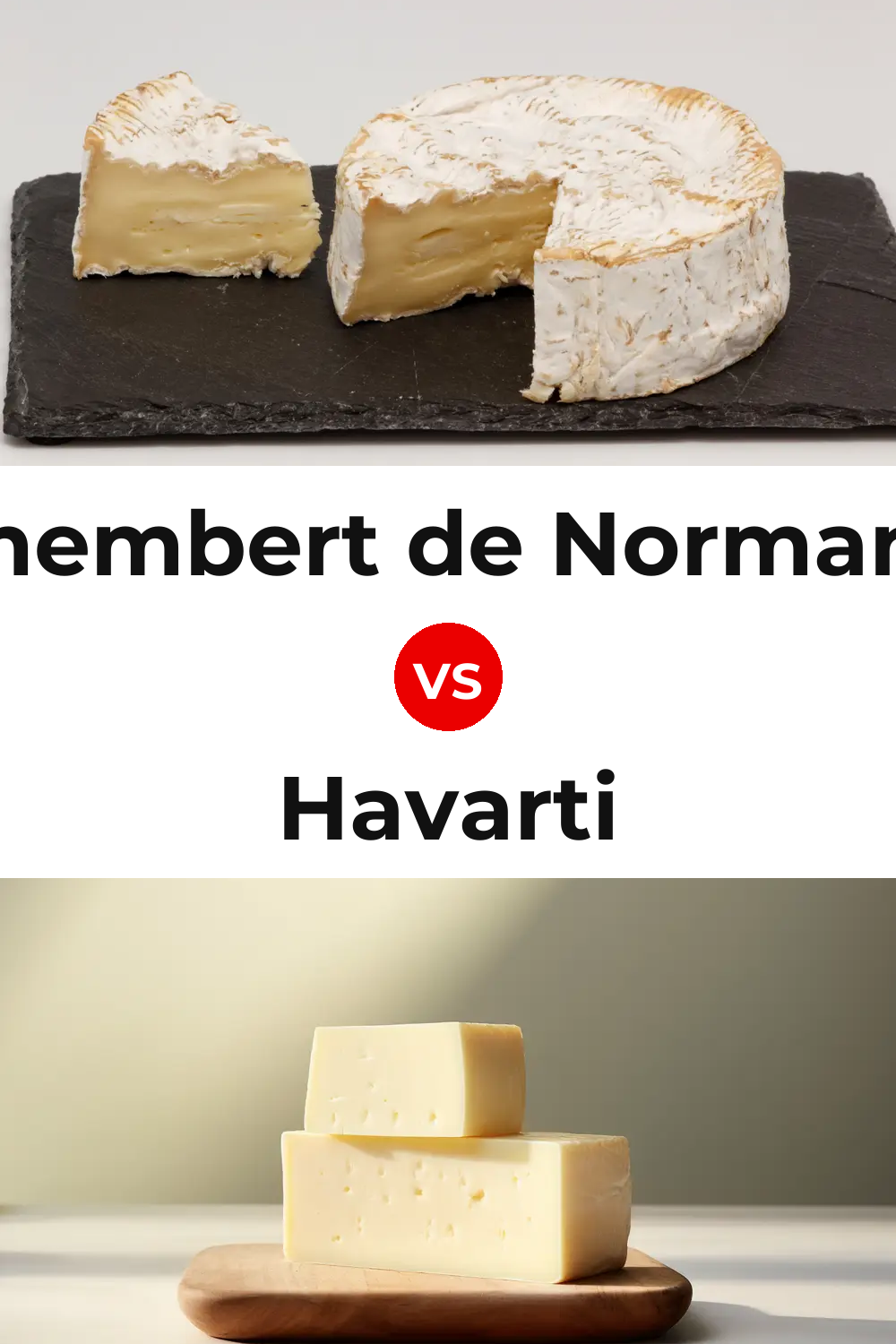 Camembert de Normandie Cheese vs Havarti Cheese Pinterest comparison