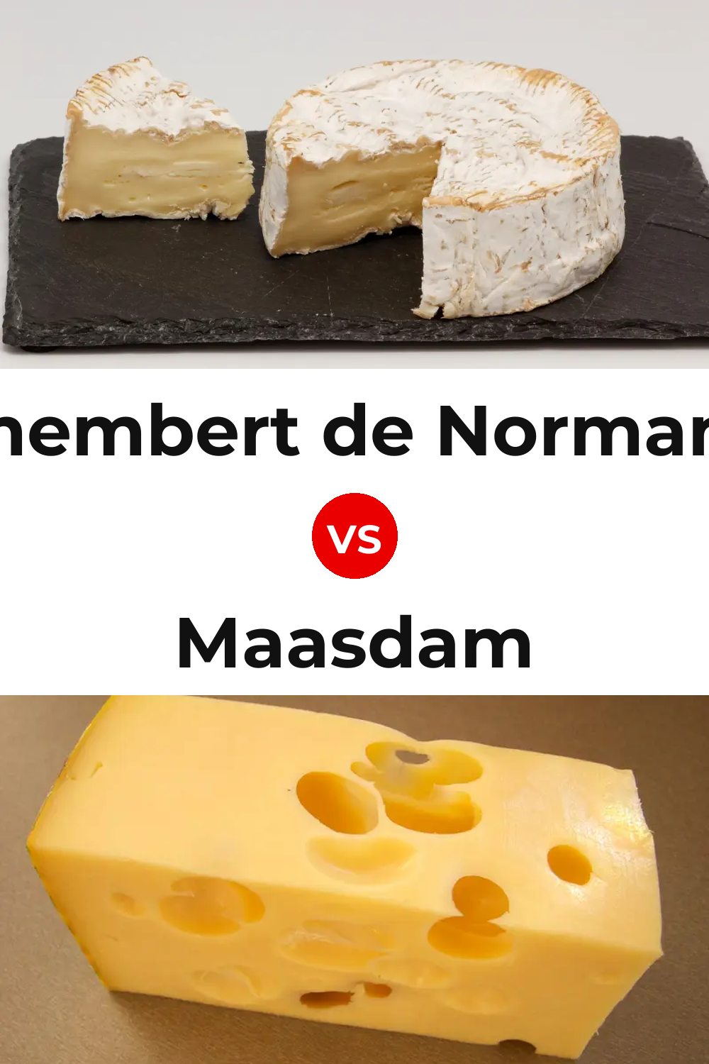 Camembert de Normandie Cheese vs Maasdam Cheese Pinterest comparison