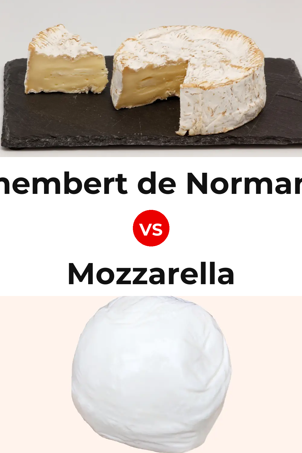 Camembert de Normandie Cheese vs Mozzarella Cheese Pinterest comparison