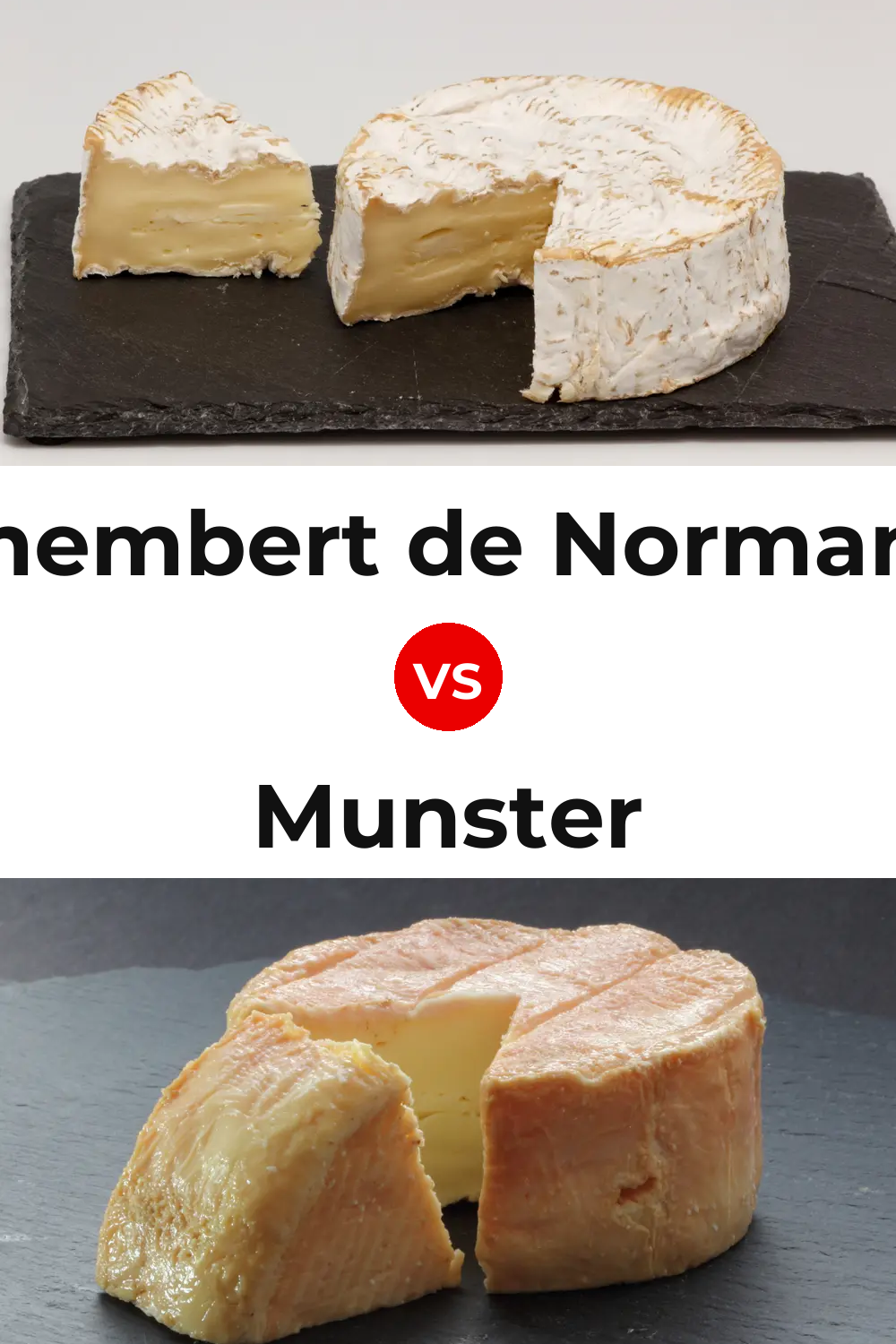 Camembert de Normandie Cheese vs Munster Cheese Pinterest comparison