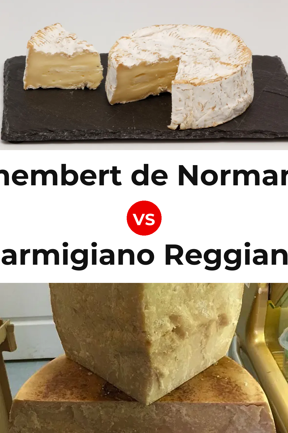 Camembert de Normandie Cheese vs Parmigiano Reggiano Cheese Pinterest comparison