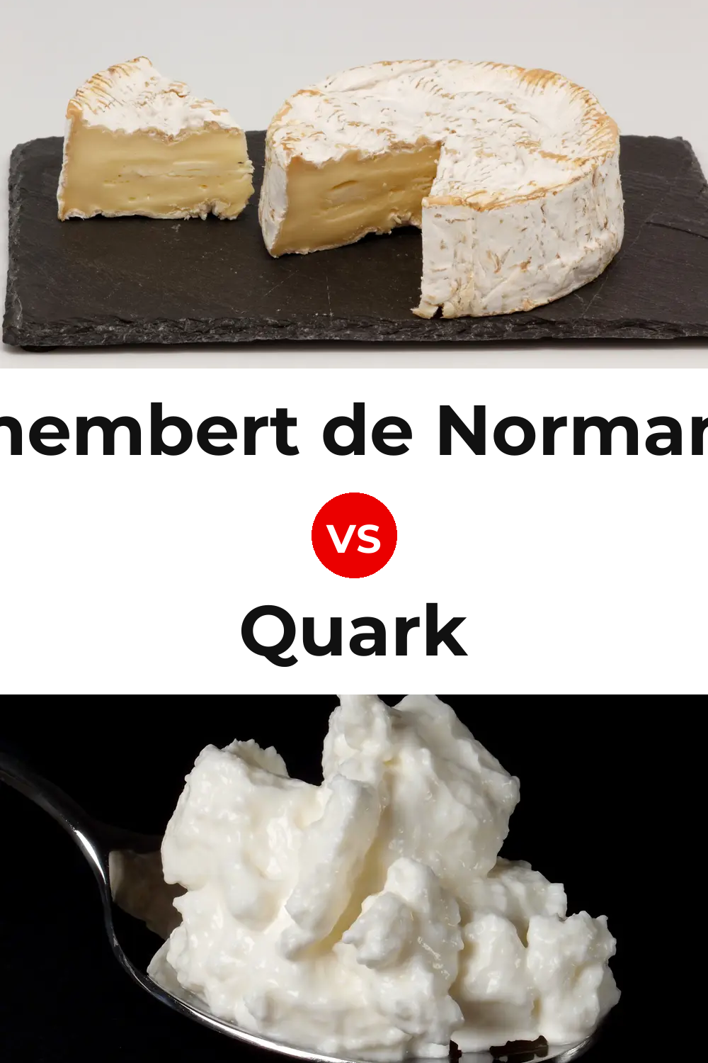 Camembert de Normandie Cheese vs Quark Cheese Pinterest comparison