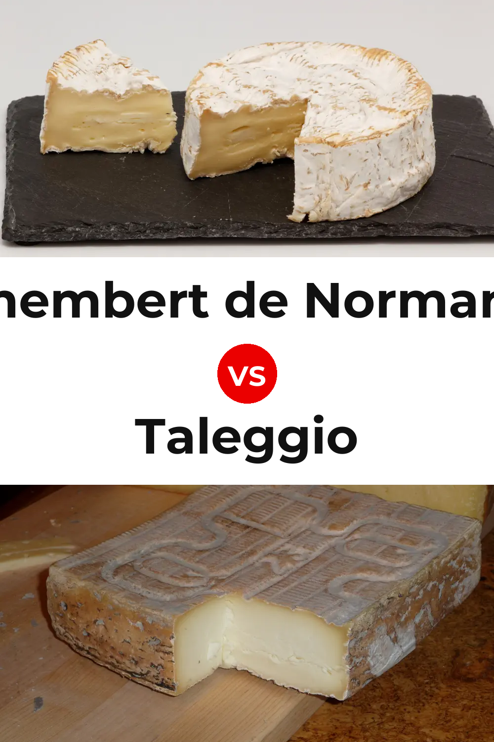 Camembert de Normandie Cheese vs Taleggio Cheese Pinterest comparison