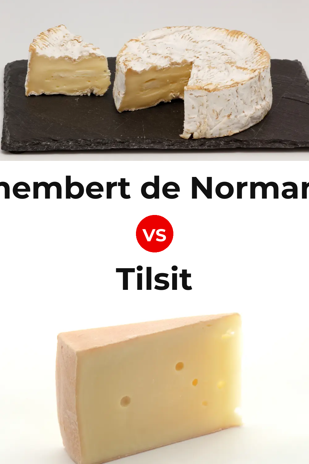 Camembert de Normandie Cheese vs Tilsit Cheese Pinterest comparison
