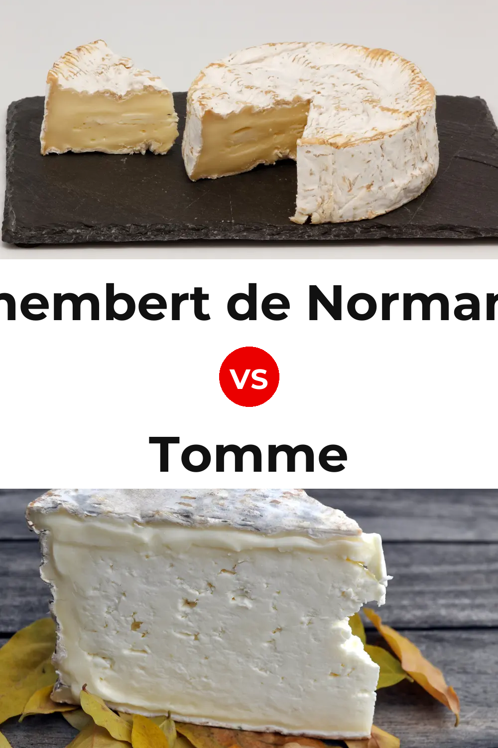 Camembert de Normandie Cheese vs Tomme Cheese Pinterest comparison