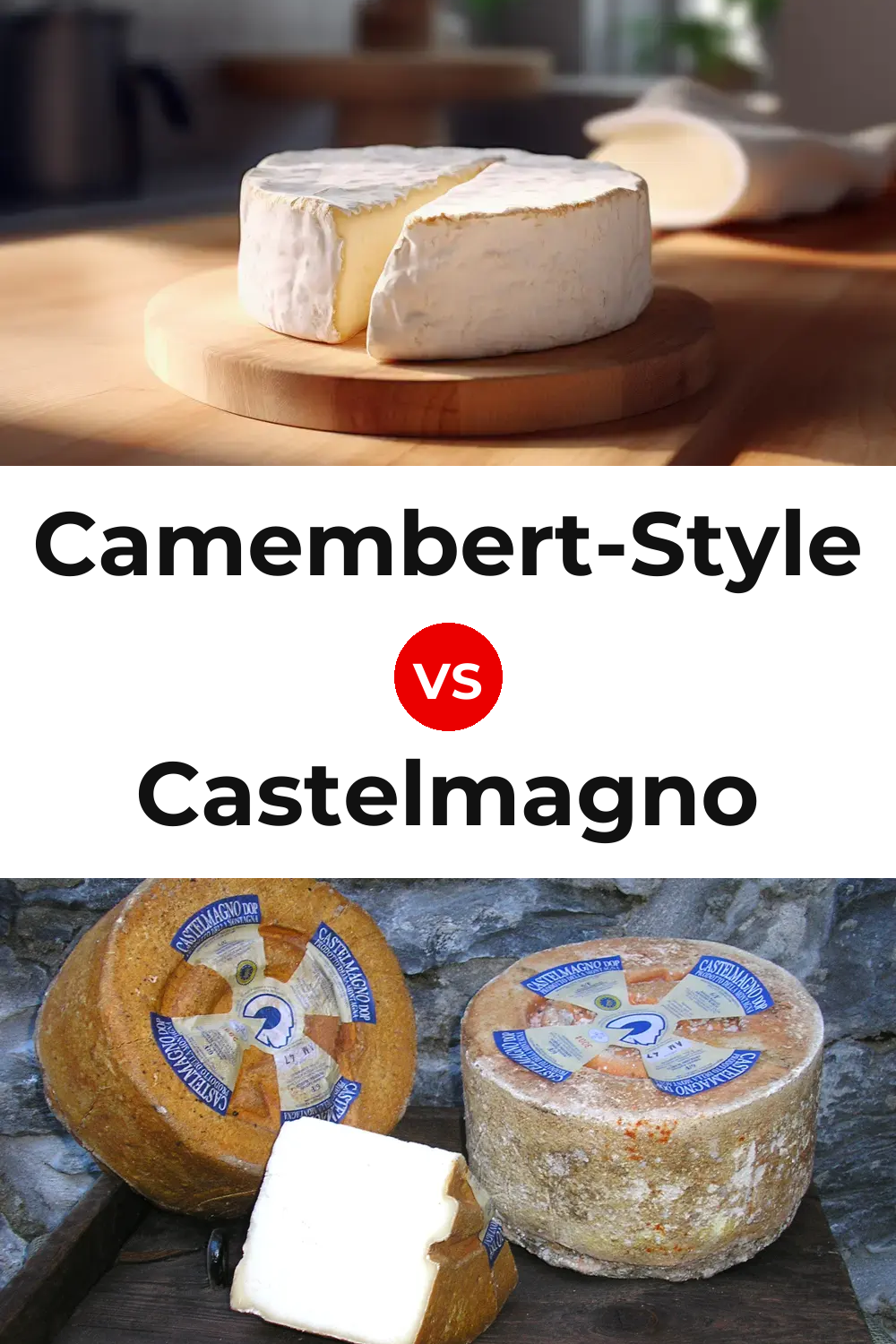 Camembert-Style Cheese vs Castelmagno Cheese Pinterest comparison