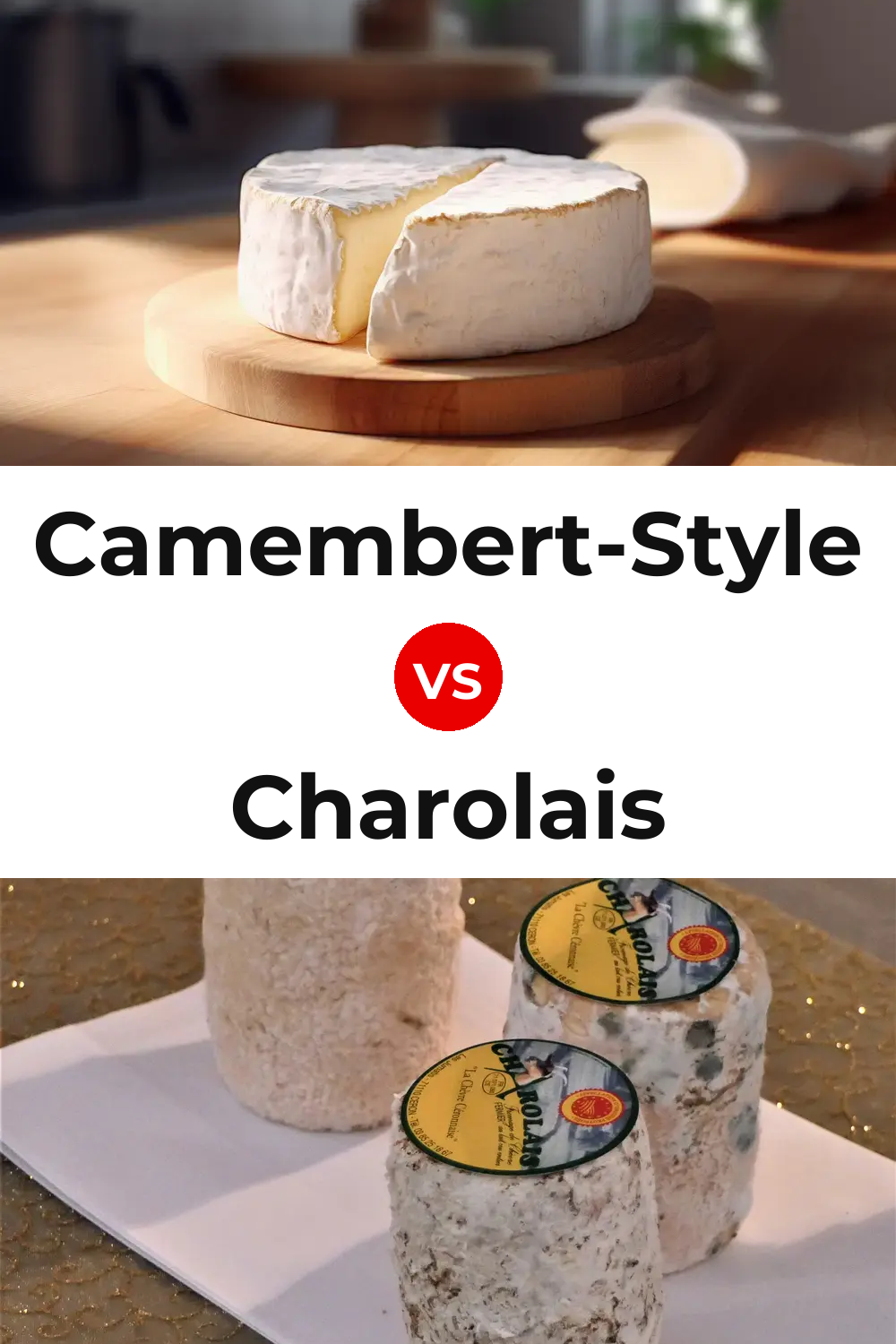 Camembert-Style Cheese vs Charolais Cheese Pinterest comparison