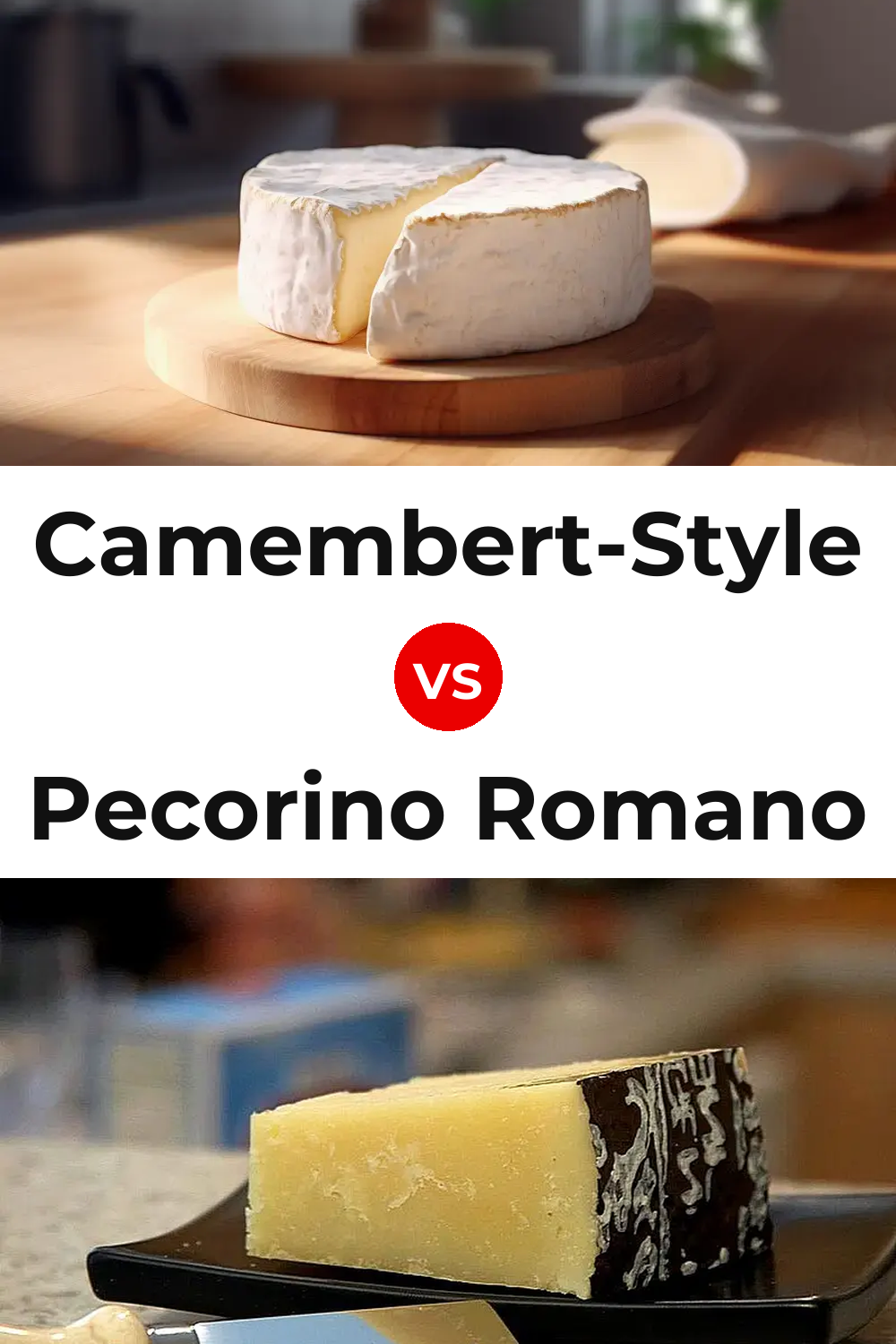 Camembert-Style Cheese vs Pecorino Romano Cheese Pinterest comparison