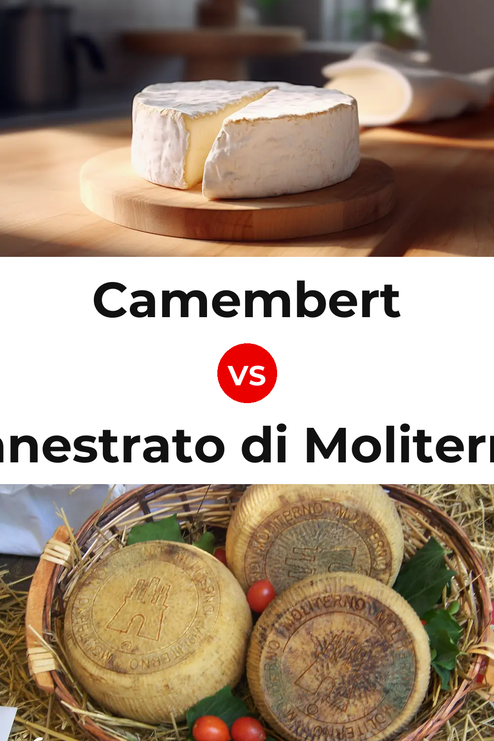 Camembert Cheese vs Canestrato di Moliterno Cheese Pinterest comparison
