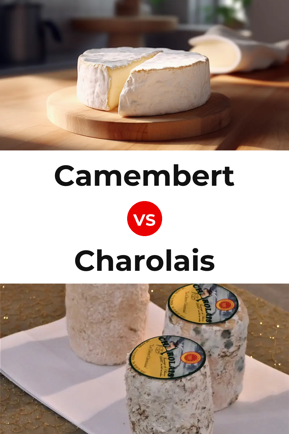 Camembert Cheese vs Charolais Cheese Pinterest comparison