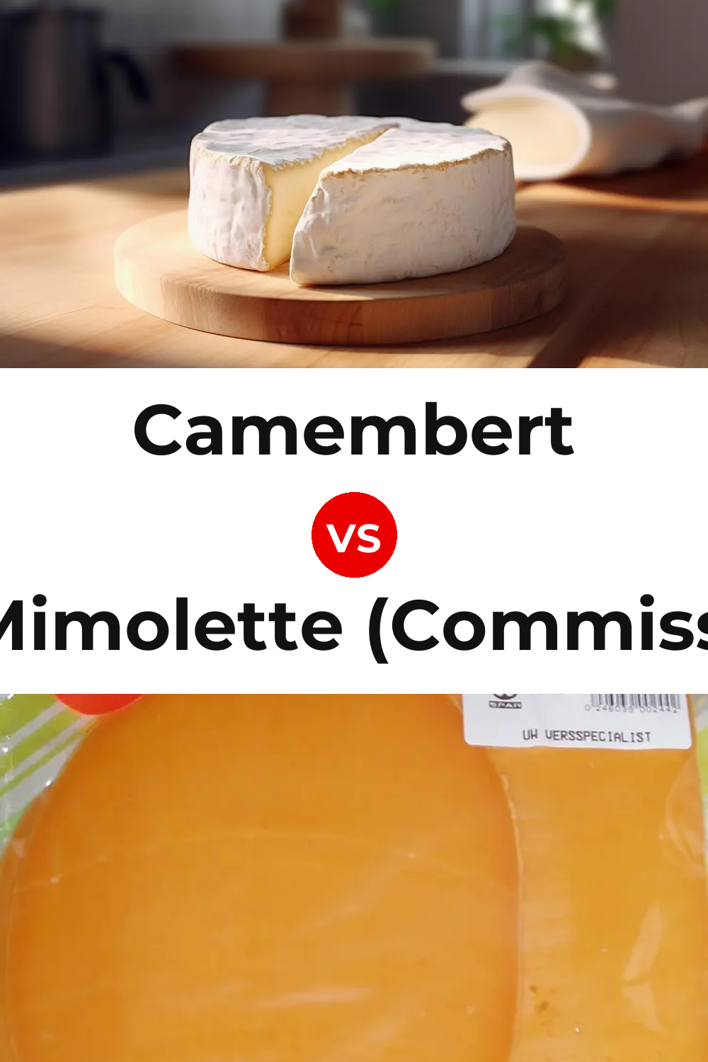 Camembert Cheese vs Dutch Mimolette (Commissiekaas) Cheese Pinterest comparison