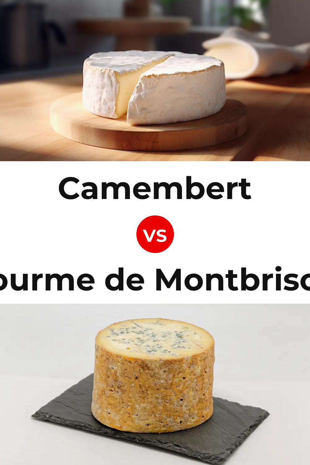 Camembert Cheese vs Fourme de Montbrison Cheese Pinterest comparison
