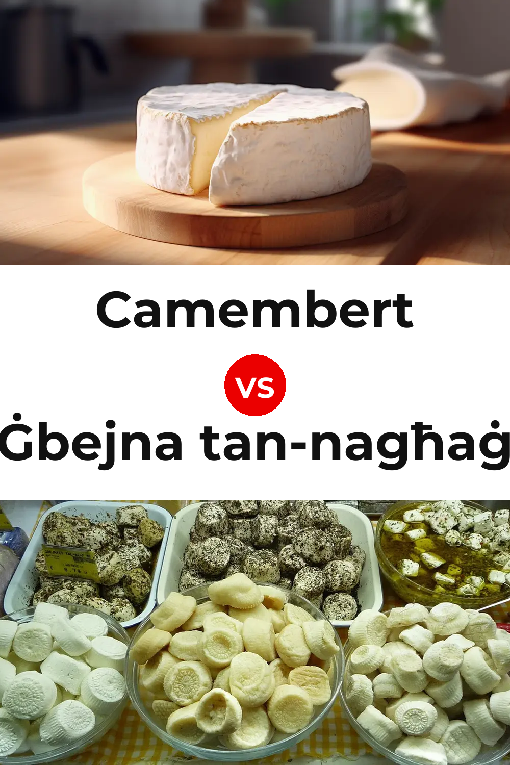 Camembert Cheese vs Ġbejna tan-nagħaġ Cheese Pinterest comparison