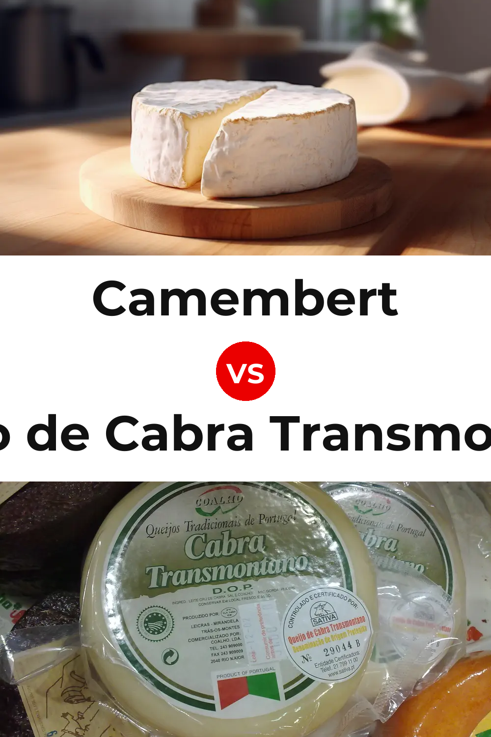 Camembert Cheese vs Queijo de Cabra Transmontano Pinterest comparison