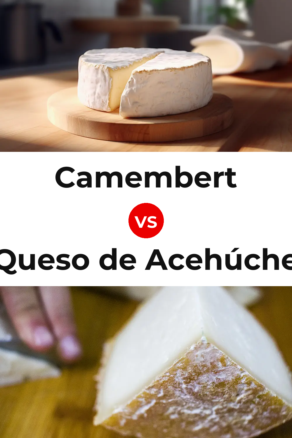 Camembert Cheese vs Queso de Acehúche Pinterest comparison