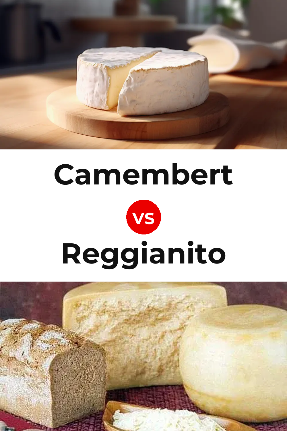 Camembert Cheese vs Reggianito Cheese Pinterest comparison