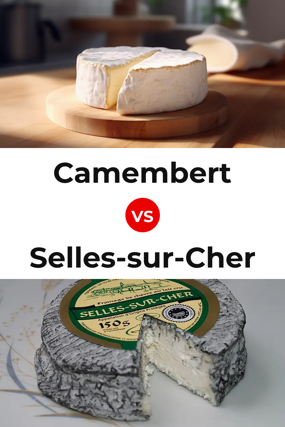 Camembert Cheese vs Selles-sur-Cher Cheese Pinterest comparison