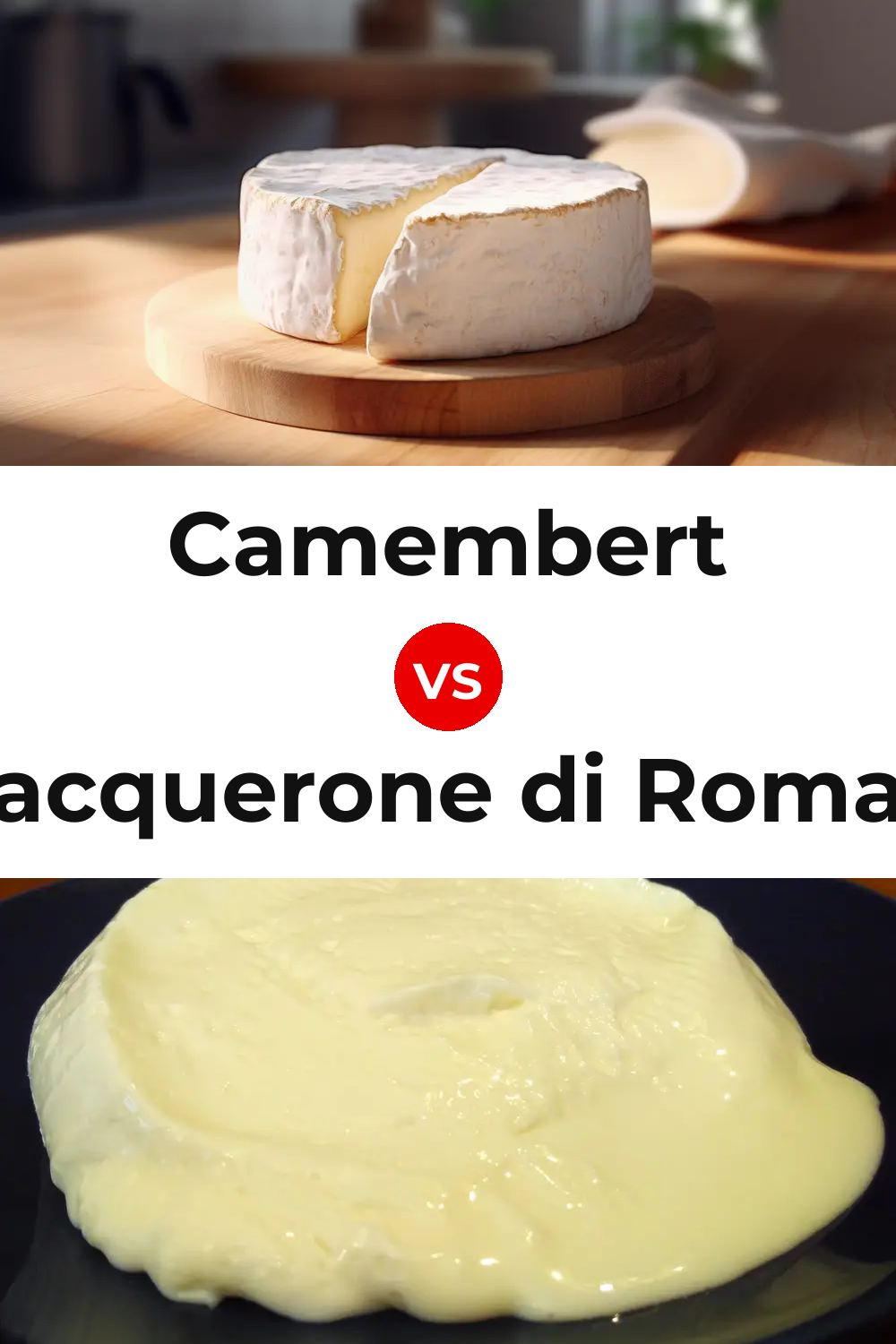 Camembert Cheese vs Squacquerone di Romagna Cheese Pinterest comparison