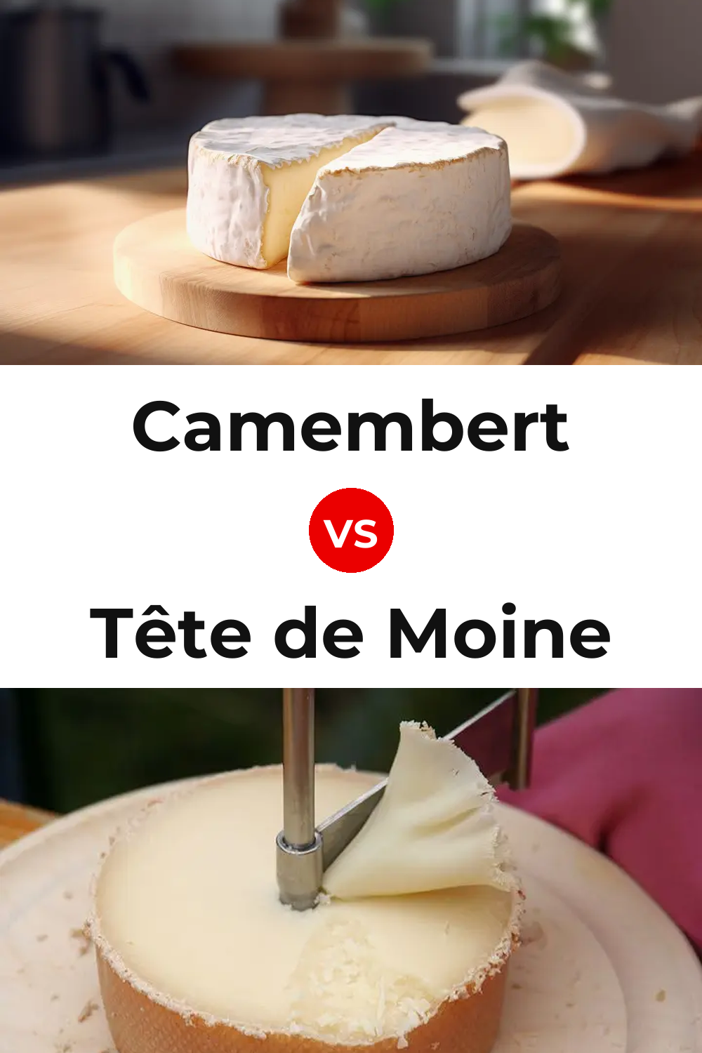 Camembert Cheese vs Tête de Moine Cheese Pinterest comparison