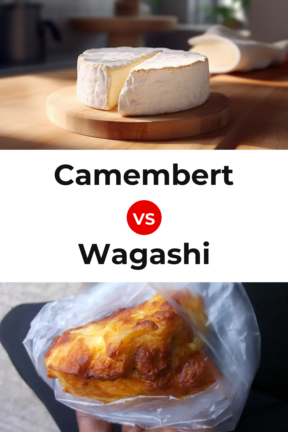 Camembert Cheese vs Wagashi Cheese Pinterest comparison