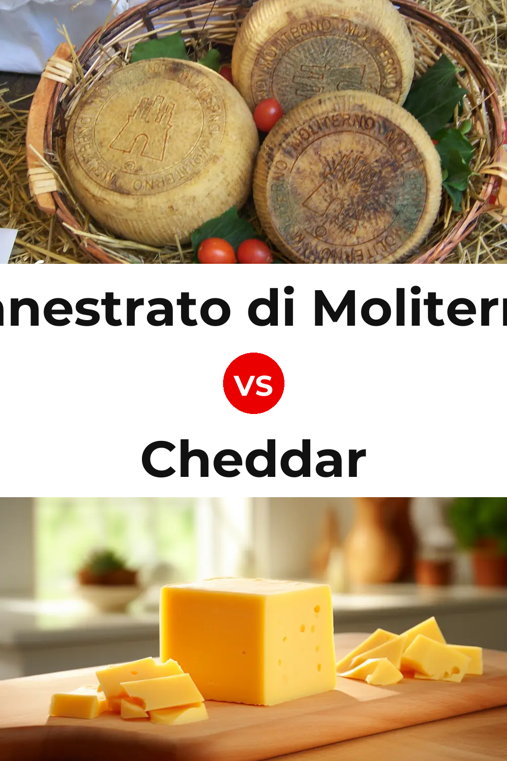 Canestrato di Moliterno Cheese vs Cheddar Cheese Pinterest comparison